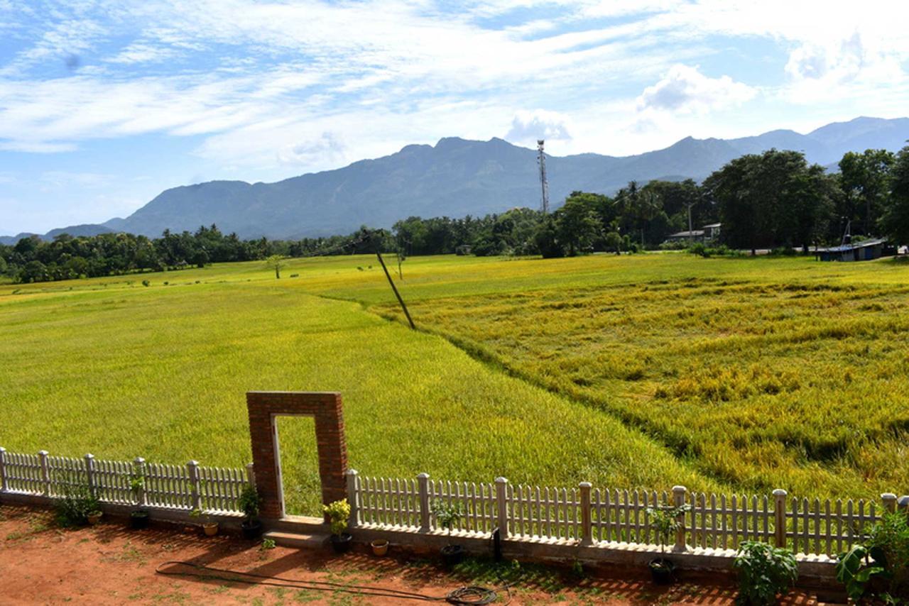 Green Heritage Holiday Resort มหิยันกานา ภายนอก รูปภาพ