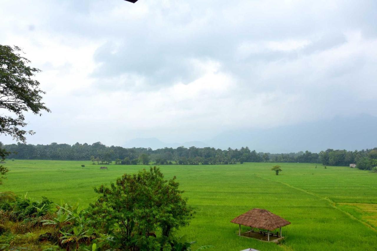 Green Heritage Holiday Resort มหิยันกานา ภายนอก รูปภาพ